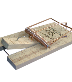 tapette à souris en bois