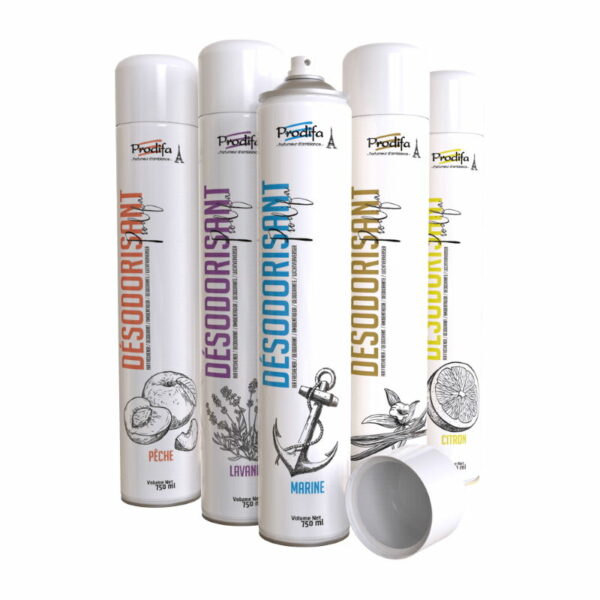 Désodorisant d'ambiance 750ml