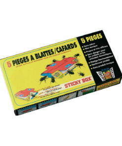 boite de pieges à blattes / cafards