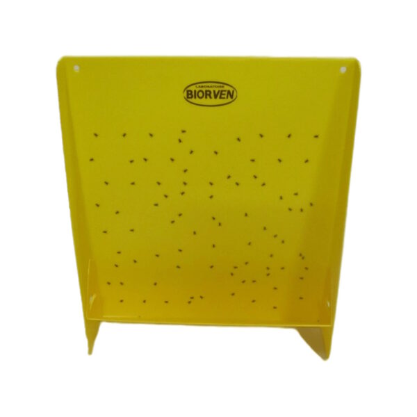 Panneau jaune à insectes