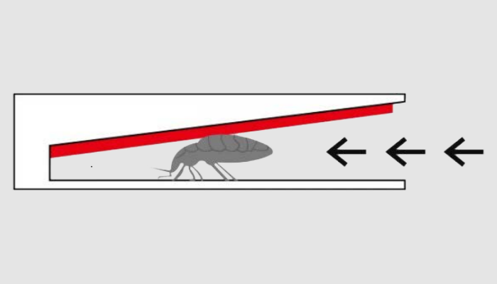 Piège punaises de lit collant - Hygitrack